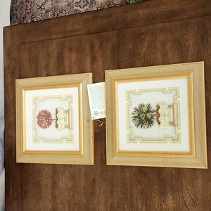 MEO Shadow box frames with dried flowers roses - Nature New